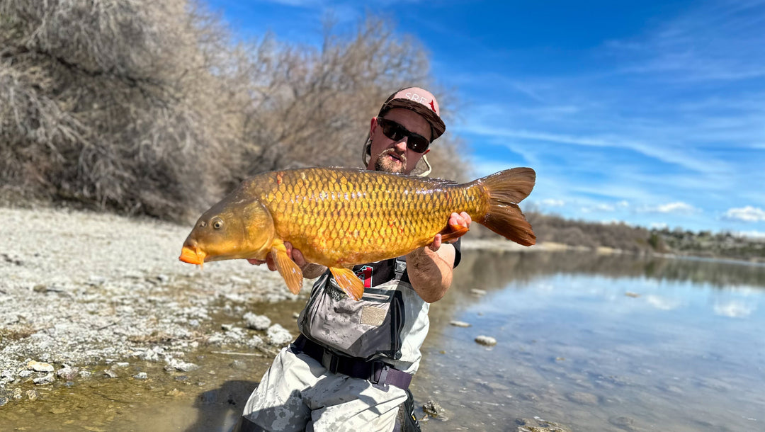 Summer Tips for Chasing Carp on the Fly with Brandon Morrison