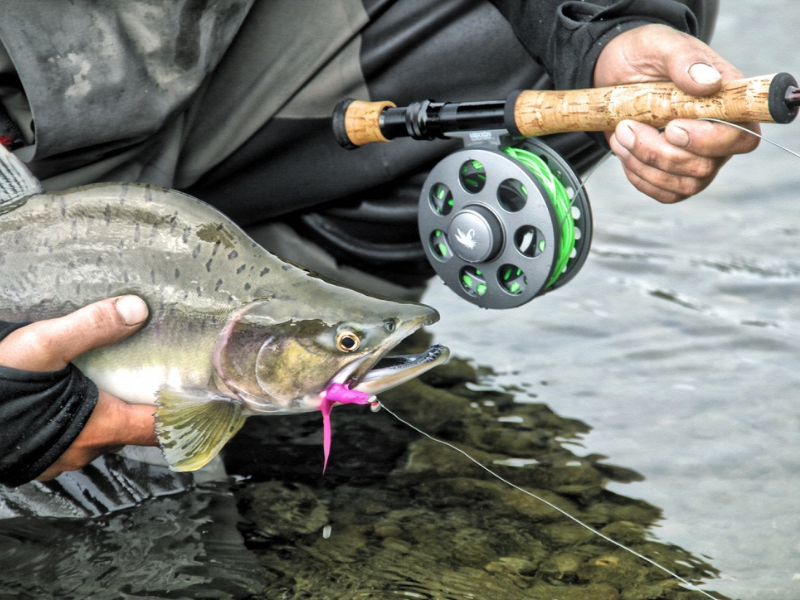 Maxxon Talon Fly Reel