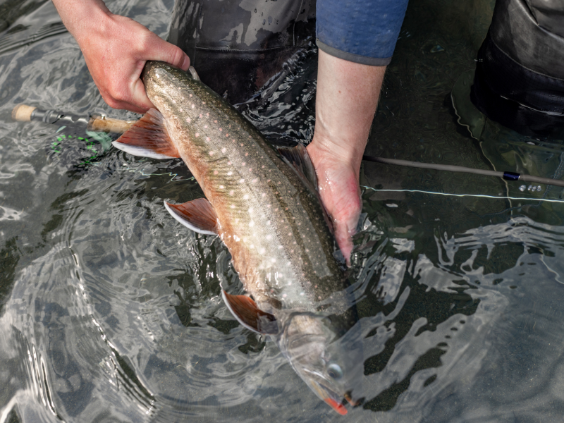 DOUBLE XX Fly Rod