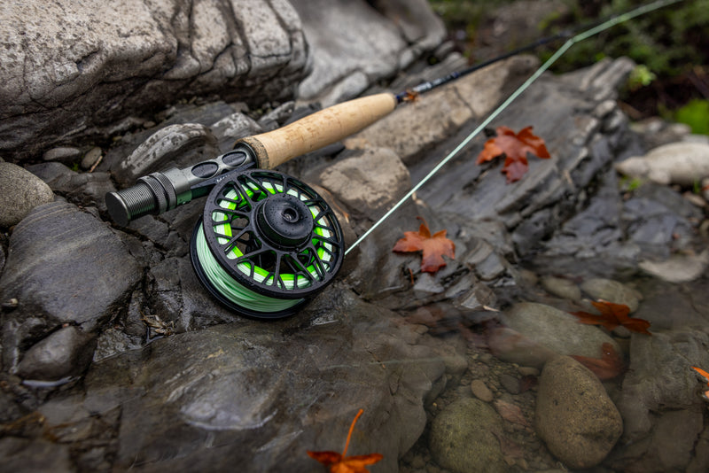 Reels