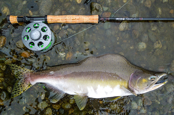 Maxxon FALCON Fly Rod - 9' 6WT Half Wells 2 Pc