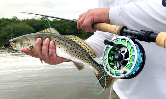 SDP Fly Reel & Spools